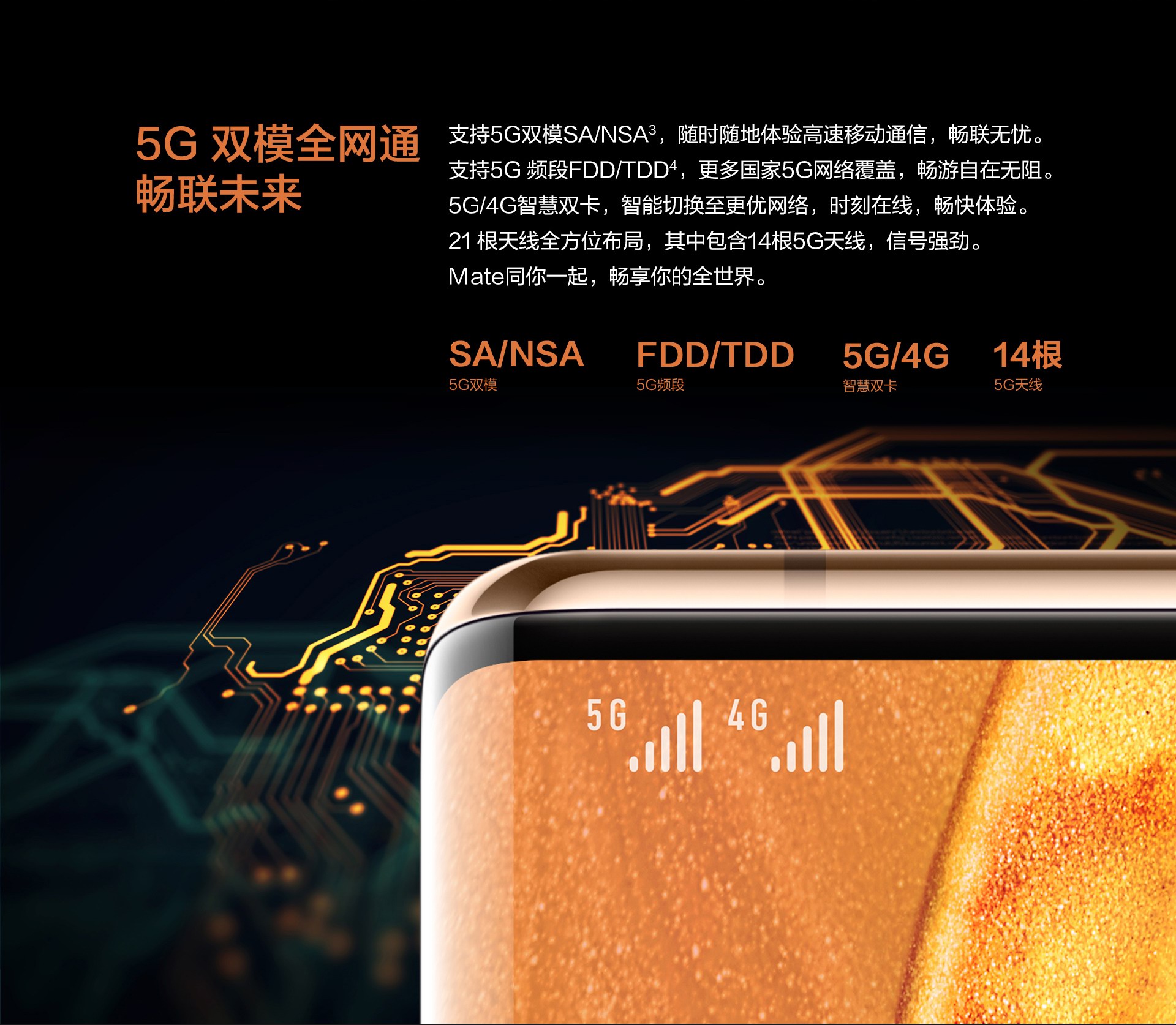 7cd358631a47.jpg
